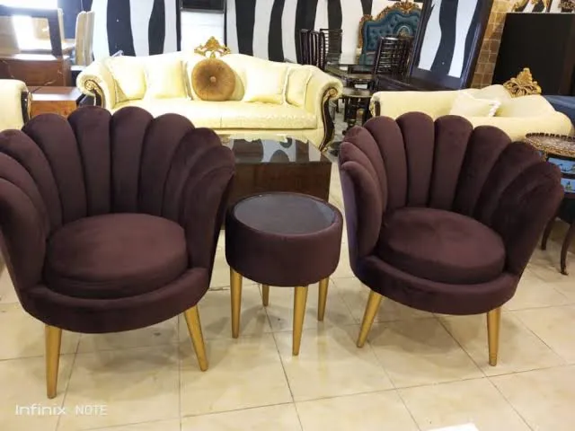 Chairs%20/%20fancy%20chairs%20/%20coffee%20chairs%20)(10%20years%20warranty)%20-%20Image%202