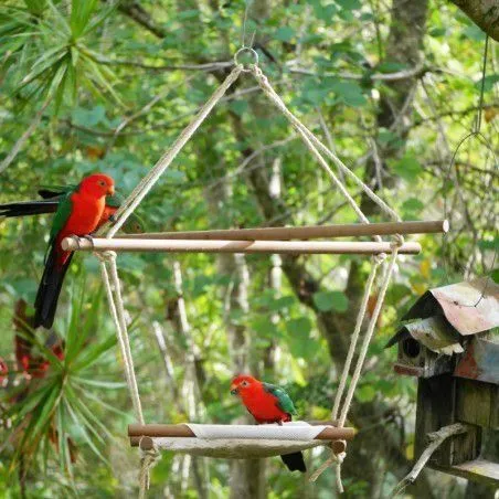 Birds%20Swing%20and%20Feeder%20%7C%20Birds%20Natural%20hanging%20toy%20and%20feeder%20%7C%20size%20top%2012x12inch,%20bottom%206x6inch%7C%20-%20Image%206