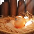 Dog Squishy Egg Toys ! Shibako Egg Shiba Inu Egg Slow Rising Squishy - Dog Egg Toy Stress Relief - Dog Eggs Decompression Toy.