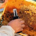 100ml Bee Attractant Spray Natural Ingredients Bee Attractant Spray Effective Bee Attractant Spray Bee Lure Easy Catch. 
