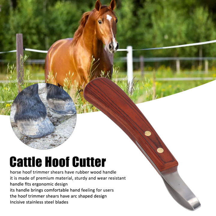 Hoof%20Trimmer%20Shears%20Ergonomic%20Stainless%20Steel%20Hoof%20Trimmer%20Shears%20Wear%20Resistant%2019.5cm%20Sturdy%20Arc%20Shaped%20for%20Livestock%20-%20Image%202
