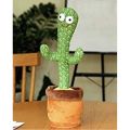 Dancing cactus toy. 