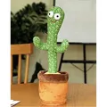 Dancing cactus toy. 