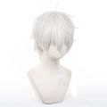 Synthetic Hair Anime Seishiro Nagi Cosplay Wigs Silver White 30cm Short Warping Heat Resistant Man Wig.