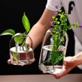 Creative Hydroponic Plant Glass Simple Modern Bottle Flower Vase for Centerpieces Desktop Home Dining Wedding Modern Wedding. 