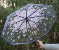 Korean Umbrella Folding Cute Korean Mini Fresh Simple Sen Series Trifold Japanese Cherry Blossom Transparent Umbrella. 