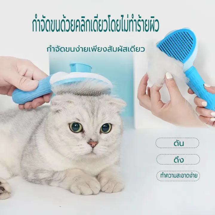 China dog hair brush china dog hair brush china dog hair comb china dog hair brush china dog hair comb