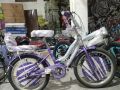 20 inch Cycle for Girls for 8 to 14 year imported China. 