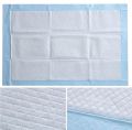 Dignity sheet pack of 10 pieces 60 x 90. 