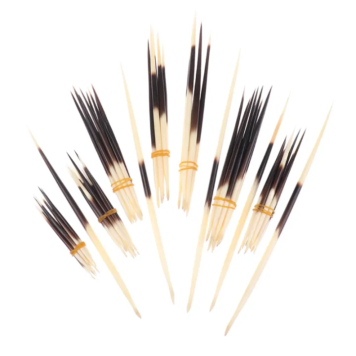 Hot%20Sale%20Porcupine%20Quills%20Hair%20Stick%20Fishing%20Buoy%20DIY%20Natural%20Bone%20Jewelry%20Hairpin%20Indian%20Crafts%20Accessories%20-%20Image%203