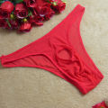 Sexy Lingerie Men Mesh Underwear Briefs Open Front Penis Pouch Hole Hollow Out Transparent Panties Underpants. 