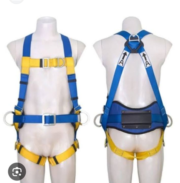 Protecta First Full Body Harness With Energy Absorber Lanyard