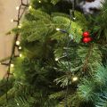 SALCAR 2m*8 LED Weihnachtsbeleuchtung mit Ring Überwurf Lichterkette 10 Girlande. 