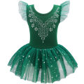 Girls Dance Leotards for Ballet Dress Shiny Tutu Skirted Leotard Gymnastics Bodysuit Ballet Wear Stage Performance Costume.
