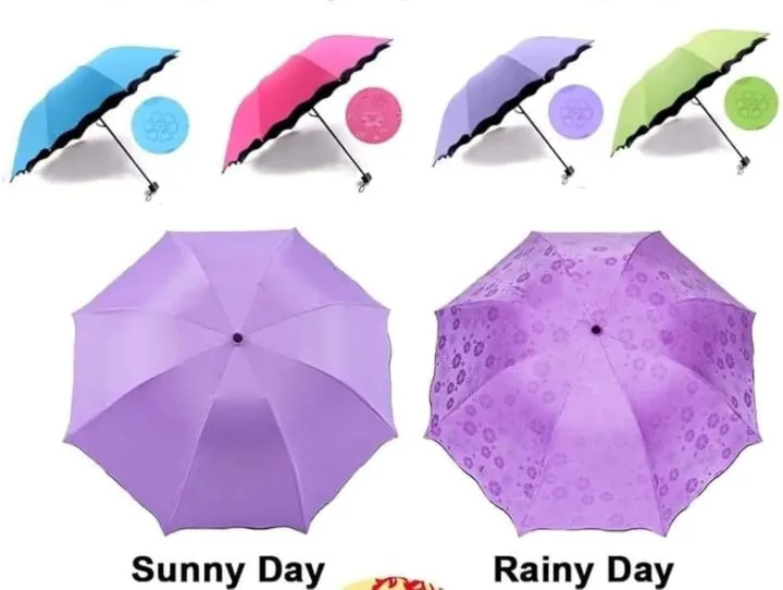 New%20Stylish%20Luxury%20Magic%20Umbrella%20-%20Compact%20and%20Durable%20Design%20-%20Image%203