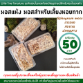 Snail Farming Moss, Dried Moss, Sphagnum Moss, 50 Baht Per Box.. 