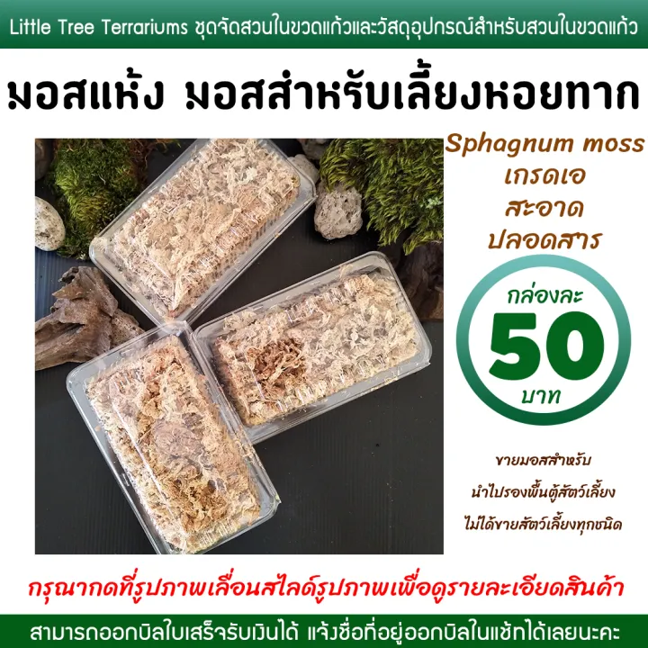Snail%20Farming%20Moss,%20Dried%20Moss,%20Sphagnum%20Moss,%2050%20Baht%20Per%20Box.%20-%20Image%208