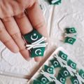 Independence Day Badge / Pakistan flag badge/ Flag badge/ 14 August badges. 