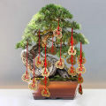 5 sets Chinese Fortune Lucky Coins Feng Shui Good luck Charms Traditional with Red String Wealth Success Access.
