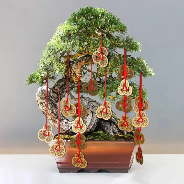 5%20sets%20Chinese%20Fortune%20Lucky%20Coins%20Feng%20Shui%20Good%20luck%20Charms%20Traditional%20with%20Red%20String%20Wealth%20Success%20Access%20-%20Image%203