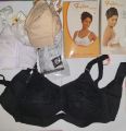 Dg Padded Bra Ladies Padded Bra Women Padded Bra. 