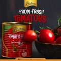 Fruitamins Tomato Paste 800gm. 