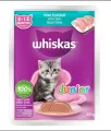 Whiskas Wet Food Junior (2-12 Months) Tuna Flavour 80g. 