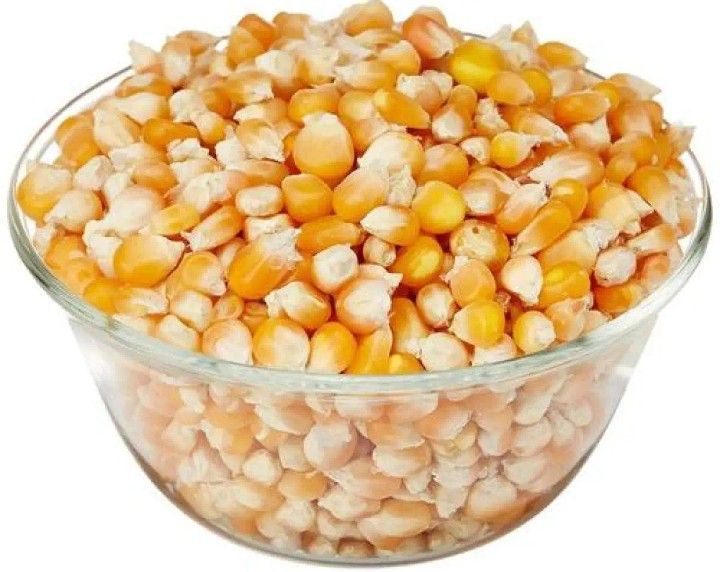 Popcorn Bhutta 1 kg | Daraz.com.bd