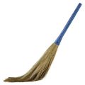 Broom stick phool jharoo. 