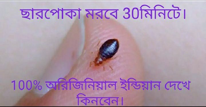Indian%20Aluminum%20Phosphide%20Tablet,%20Charpoka%20Insecticide%20/%20Bug%20Killer%20/%20Fumigation%20Tablets%20/%20Rat%20&%20Insect%20Poisonous%20Gas%20(30/20%20pcs)%20-%20Image%202