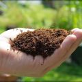 Cocopeat Natural fertilizer for germination and gardening use 500gm.