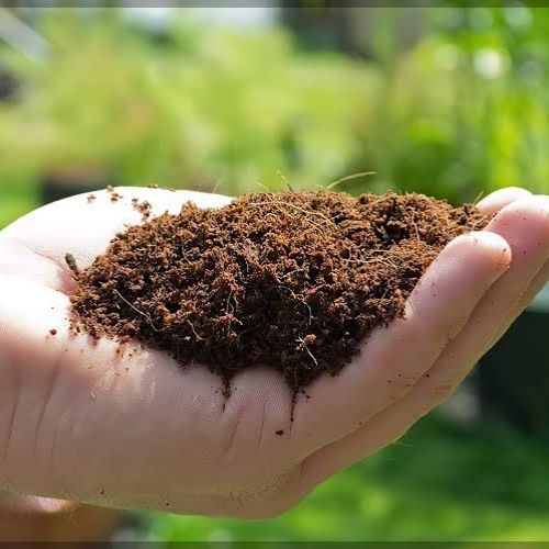 Cocopeat%20Natural%20fertilizer%20for%20germination%20and%20gardening%20use%20500gm%20-%20Image%202