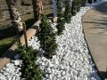 White big Pebbles/ Stones for Garden and
Aquarium 1 kg pack. 