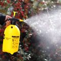 LMBDA Mosquito Killer Spray for 6 Months - Flays, Insect, Lizard & Pest Control Spray. 