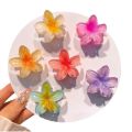 6Pcs Gradient Hair Clips New Flower Hair Claws Small Size Fashion Headwear Hairpin Crab Barrette Hair Accessories for Women. 