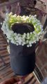Artificial Babybreath Flower Hair Bun Gajra Crown - Wedding & Party Accessory. 