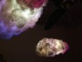 Cotton Cloud Night lamp|All colours Available RGB with Remote |. 
