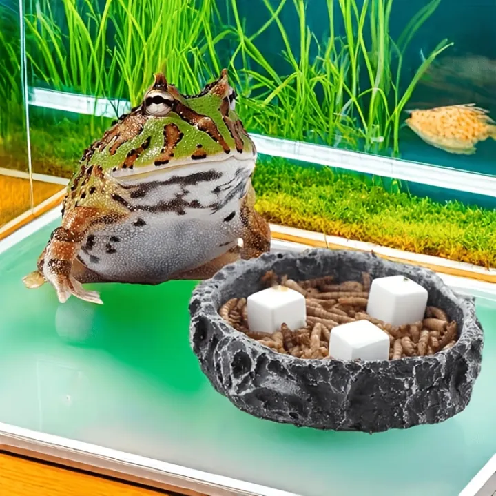 6%20Pcs%20Fish%20Tank%20Calcium%20Block%20Minerals%20Aquarium%20Supply%20Crawl%20Cube%20for%20Reptile%20Grinding%20Tortoise%20Stones%20Tank%20Calcium%20for%20Snails%20-%20Image%206