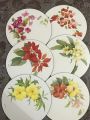Vintage Jason Round Placemats Set of 6 Souvenir Hawaii Flowers Heavy Cork Board. 