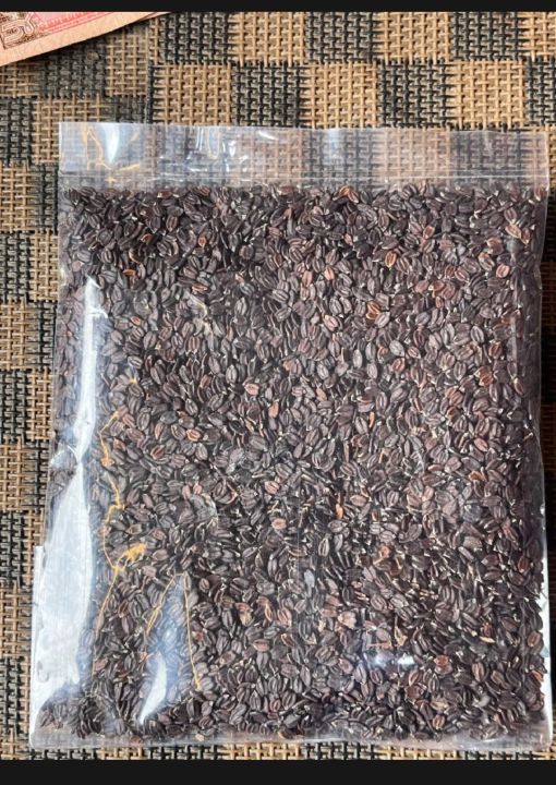 Ban%20Silam%20Seed%20Bunsilam%20-%200.5%20kg%20(500%20Gm)%20-%20Image%203