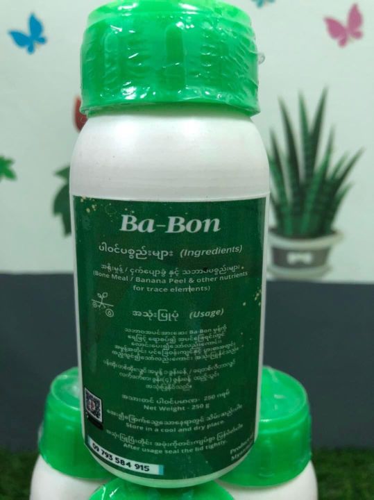 Ba-Bon%20%E1%80%A1%E1%80%95%E1%80%84%E1%80%BA%E1%80%A1%E1%80%AC%E1%80%B8%E1%80%86%E1%80%B1%E1%80%B8%20-%20Image%202