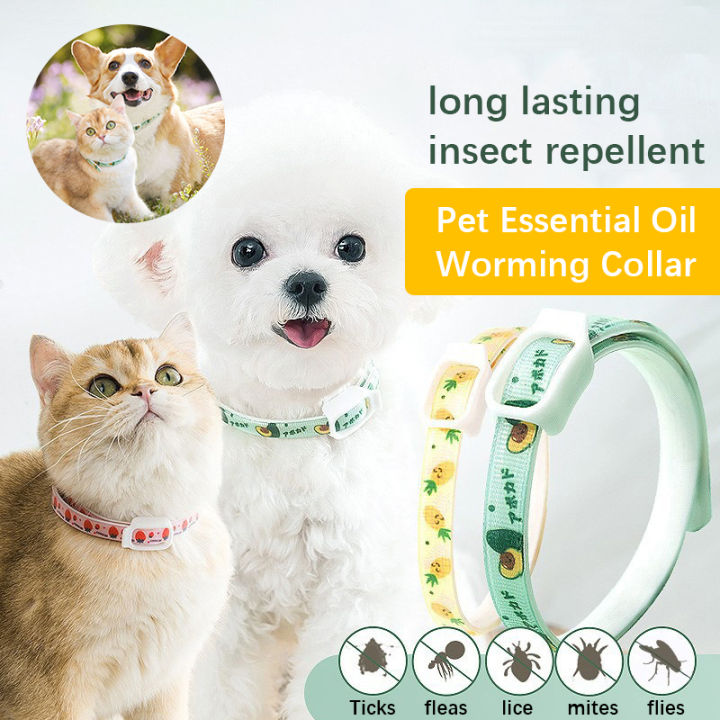 Image showcasing New Dog Deworming Collar Cat Anti Flea Tick Mite Fly External Essential ...