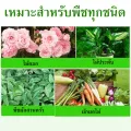 (200 tablets) treatment of aphids, all kinds of aphids, kill aphids, do not hurt plants, improve soil, insect control red mites, thrips, cold aphids, aphids in the Rose.. 