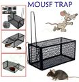 Mouse Home Rat Trap Catcher Bait Mice Live Box Mice Trap Cage Humane Rodent Animal Control Hamster Iron Cage mee kudu High Quality Black I. 