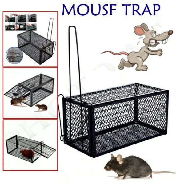 Mouse%20Home%20Rat%20Trap%20Catcher%20Bait%20Mice%20Live%20Box%20Mice%20Trap%20Cage%20Humane%20Rodent%20Animal%20Control%20Hamster%20Iron%20Cage%20mee%20kudu%20High%20Quality%20Black%20I%20-%20Image%207