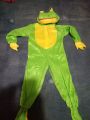 Frog costume for kids 2 and 4 year. 