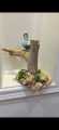 Australian parrot Taxidermy / Stuffed parrot / Hoonudkari. 