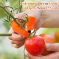 Silicone Thumb Cutter for Vegetables & Fruits - 5-in-1 Innovative Design for Effortless Cutting. 