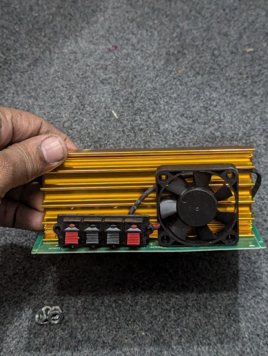 100%20Watt%20HiFi%20Stereo%20Amplifier%20Circuit%20Board%20Karaoke%20With%20Microphone%20-%20Image%205