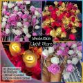 80 pieces Rose fairy light set current system. 